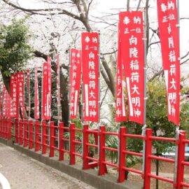向陵坂